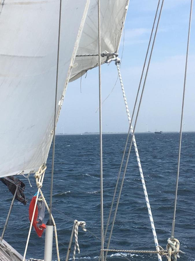 מדמבליק Stay Only Or Sailaway With Friends And Family Have More Fun מראה חיצוני תמונה